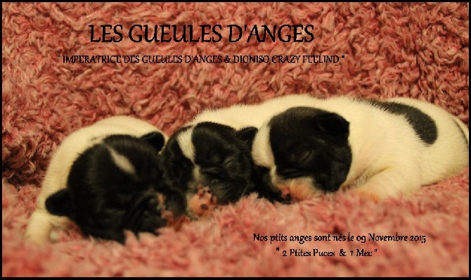 des Gueules d'Anges - Nos Ptits ANGES !!!