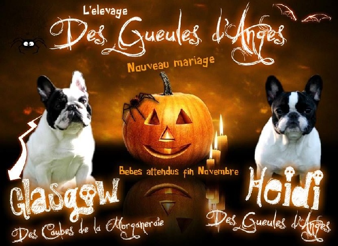 des Gueules d'Anges - BIENTOT HALLOWEEN !!!