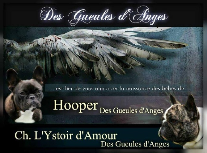 des Gueules d'Anges - Notre TRIO !!!!