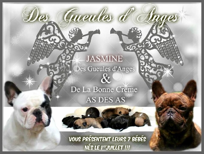 des Gueules d'Anges - Nos 7 Nains !!!