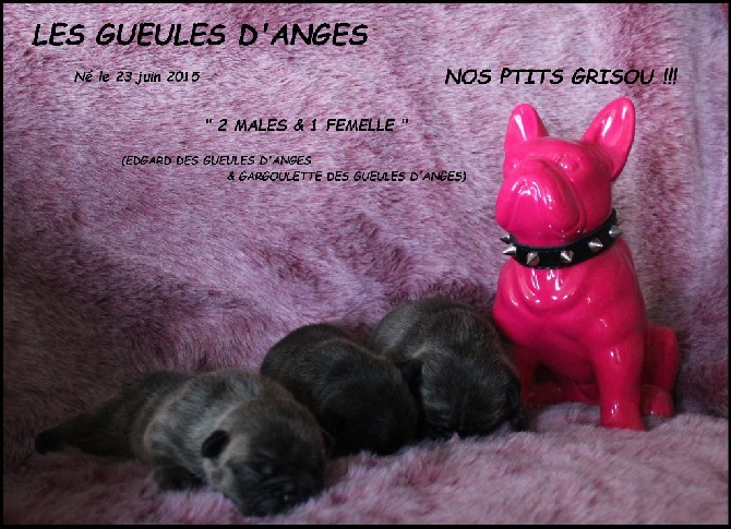 des Gueules d'Anges - Nos ptits derniers !!!